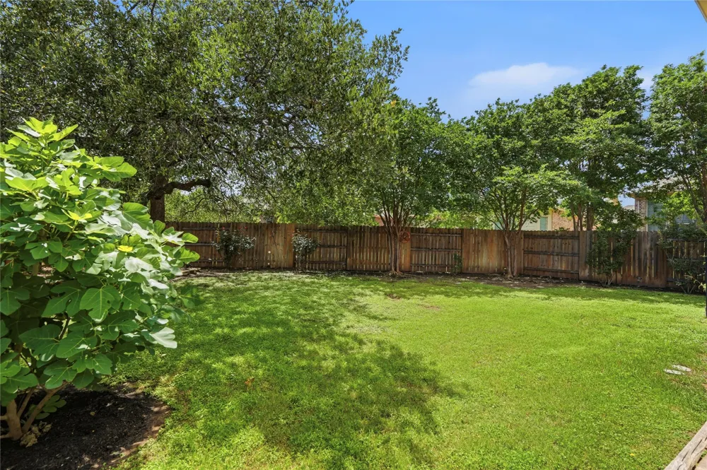 3928 Cole Valley Lane Round Rock, TX 78681