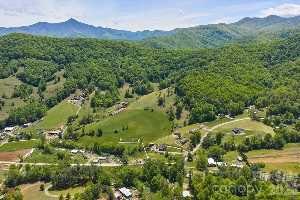 265 Curtis Creek Road Candler, NC 28715