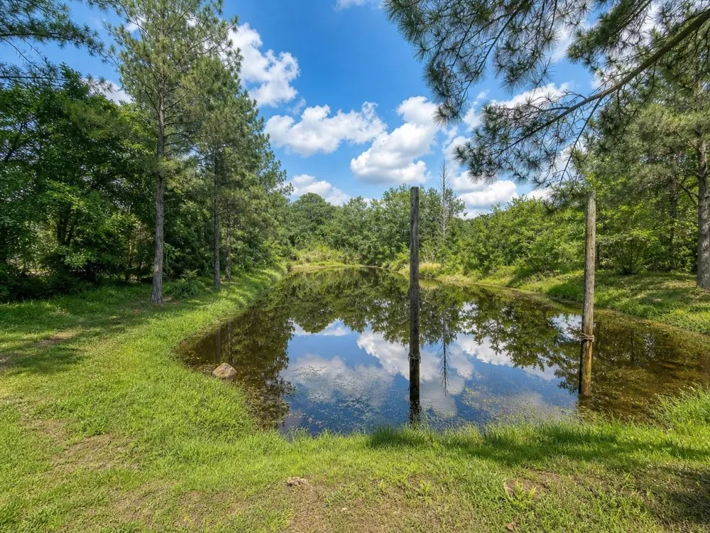 9012 Cooks Lake Road Lumberton, TX 77657