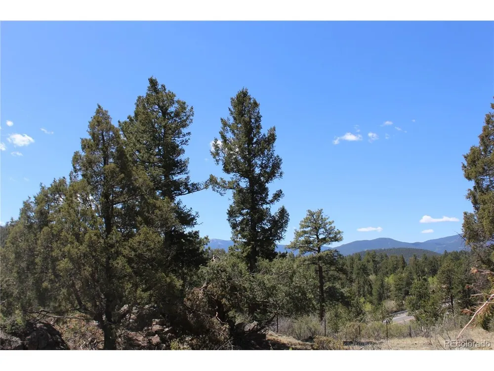 234 Panorama Drive Bailey, CO 80421