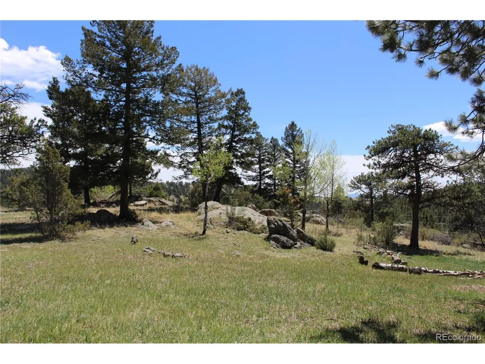234 Panorama Drive Bailey, CO 80421