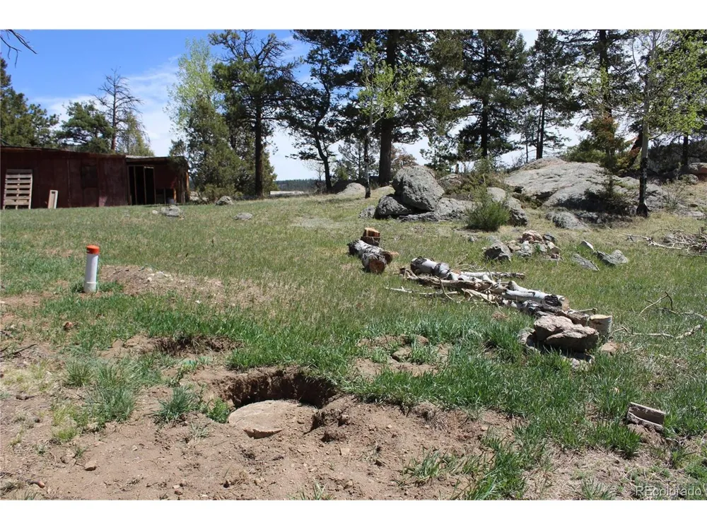 234 Panorama Drive Bailey, CO 80421