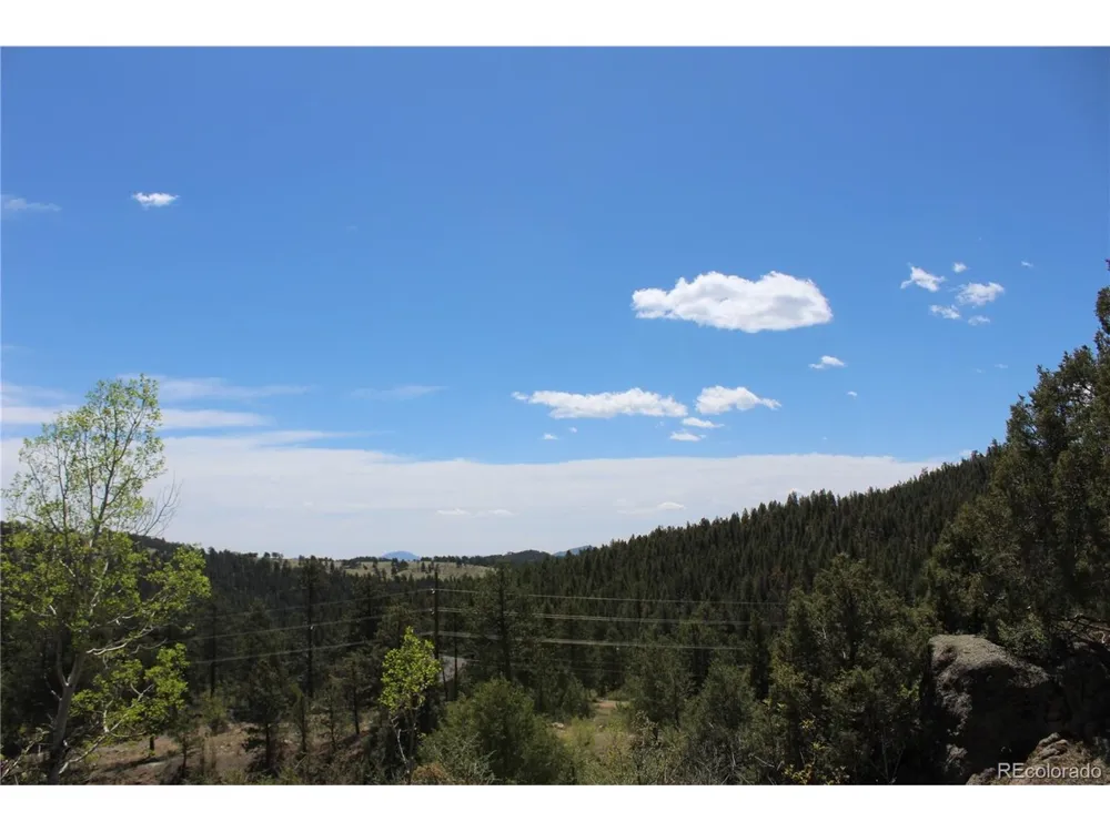 234 Panorama Drive Bailey, CO 80421