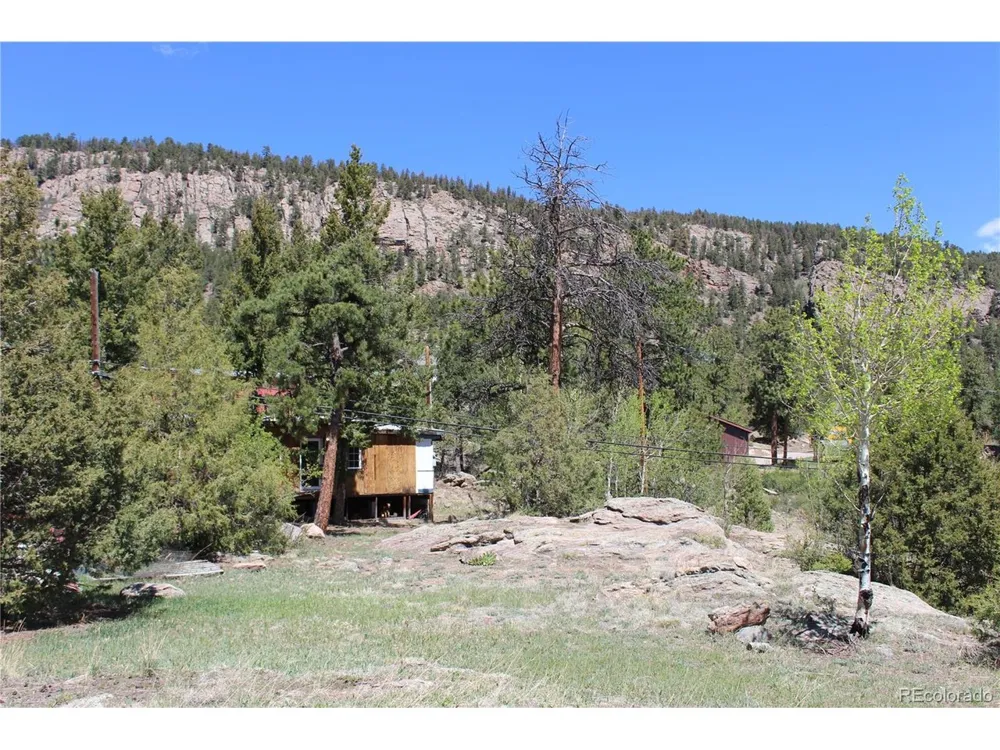 234 Panorama Drive Bailey, CO 80421