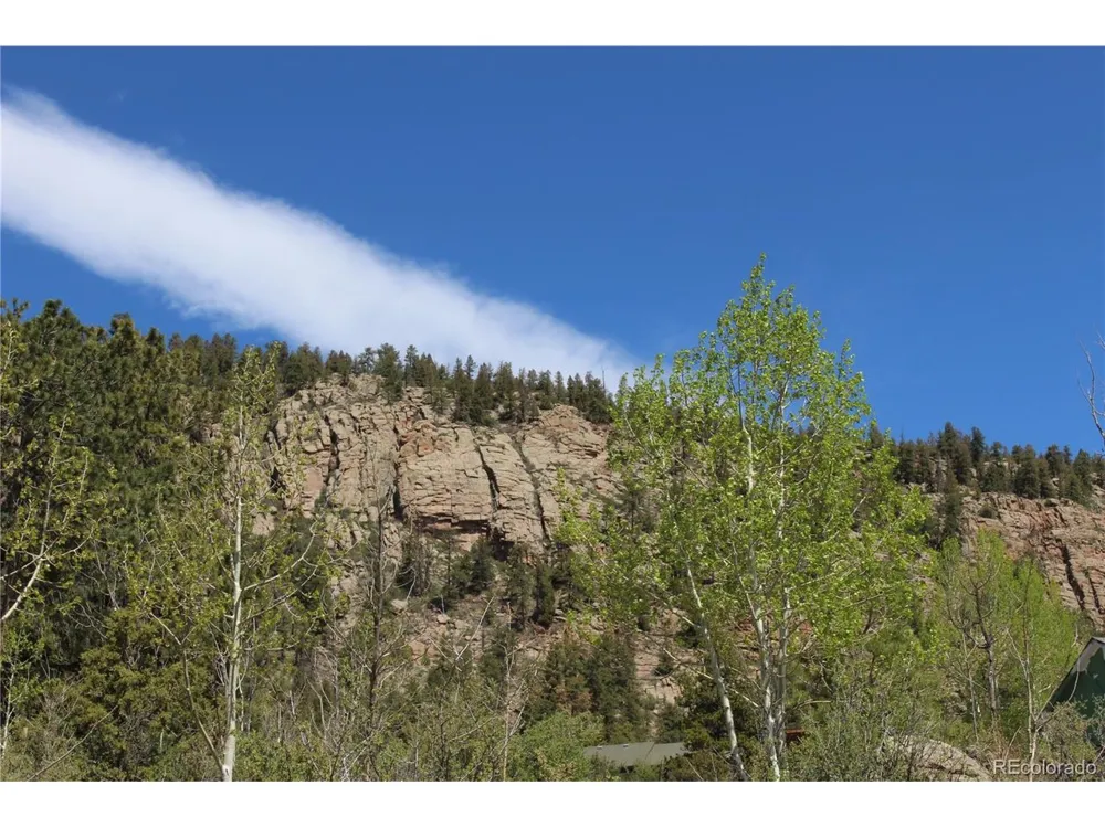 234 Panorama Drive Bailey, CO 80421