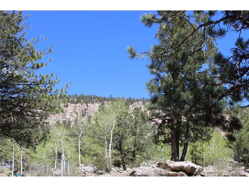 234 Panorama Drive Bailey, CO 80421
