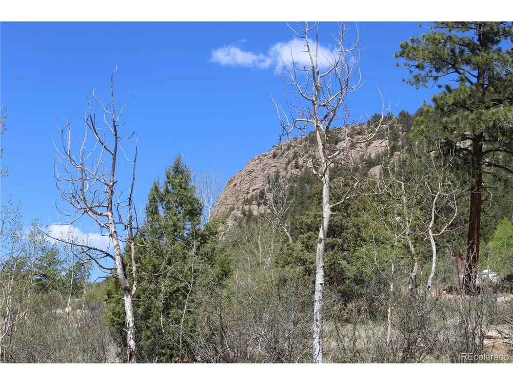 234 Panorama Drive Bailey, CO 80421
