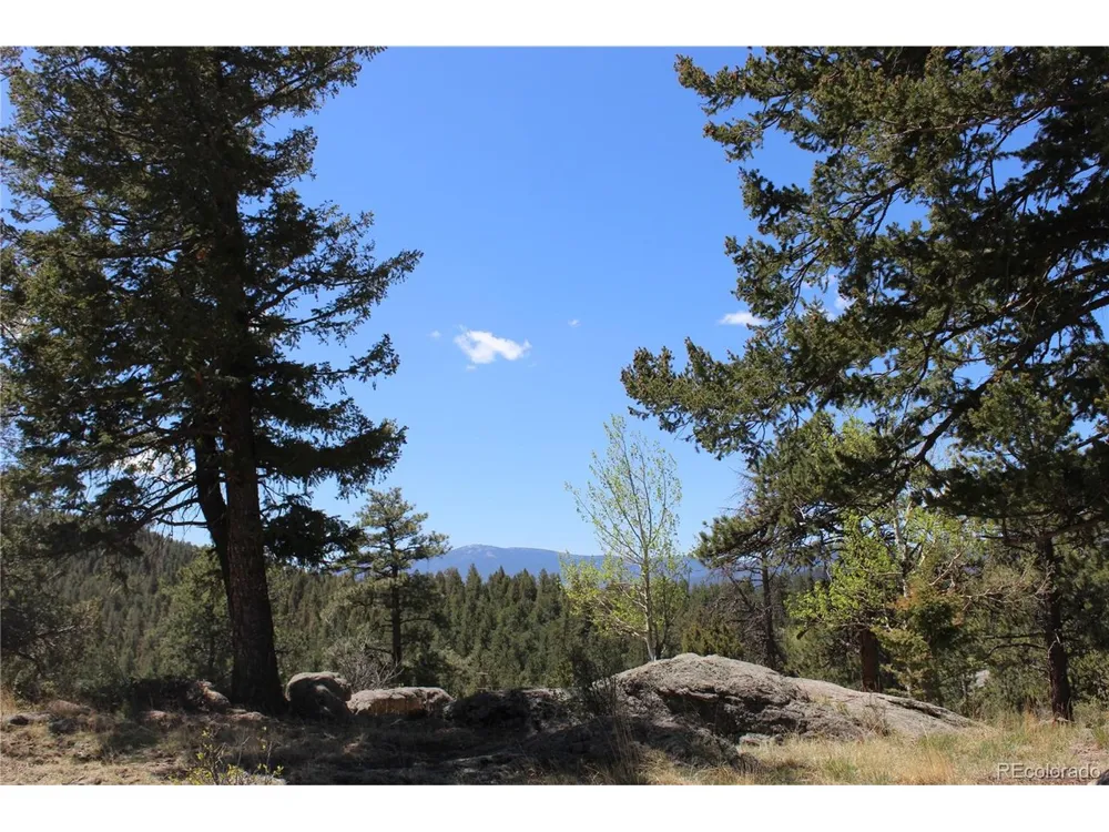 234 Panorama Drive Bailey, CO 80421