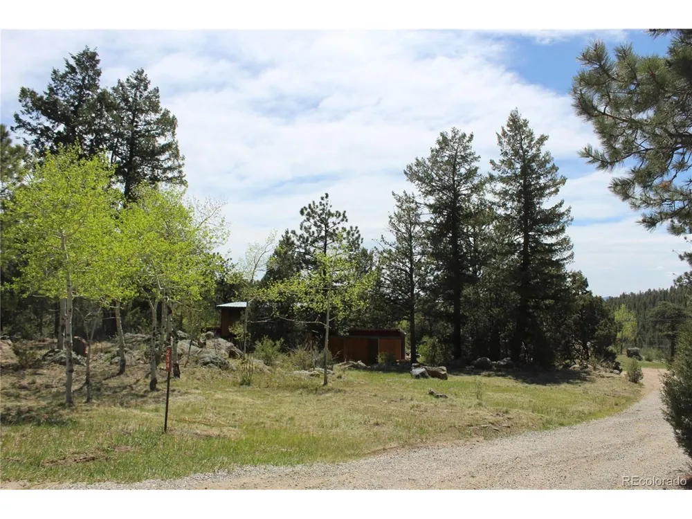 234 Panorama Drive Bailey, CO 80421