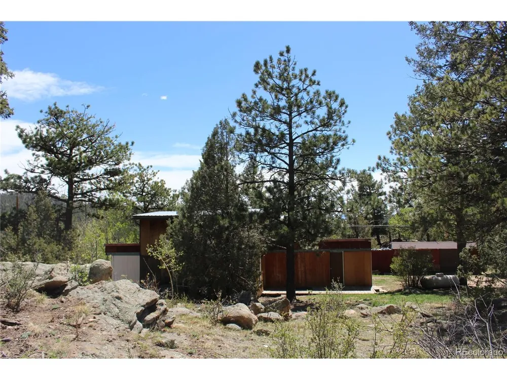234 Panorama Drive Bailey, CO 80421