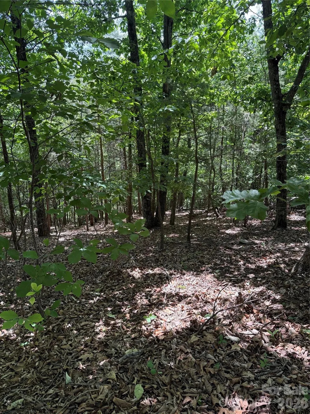 11 Summit Parkway #11 Bostic, NC 28018