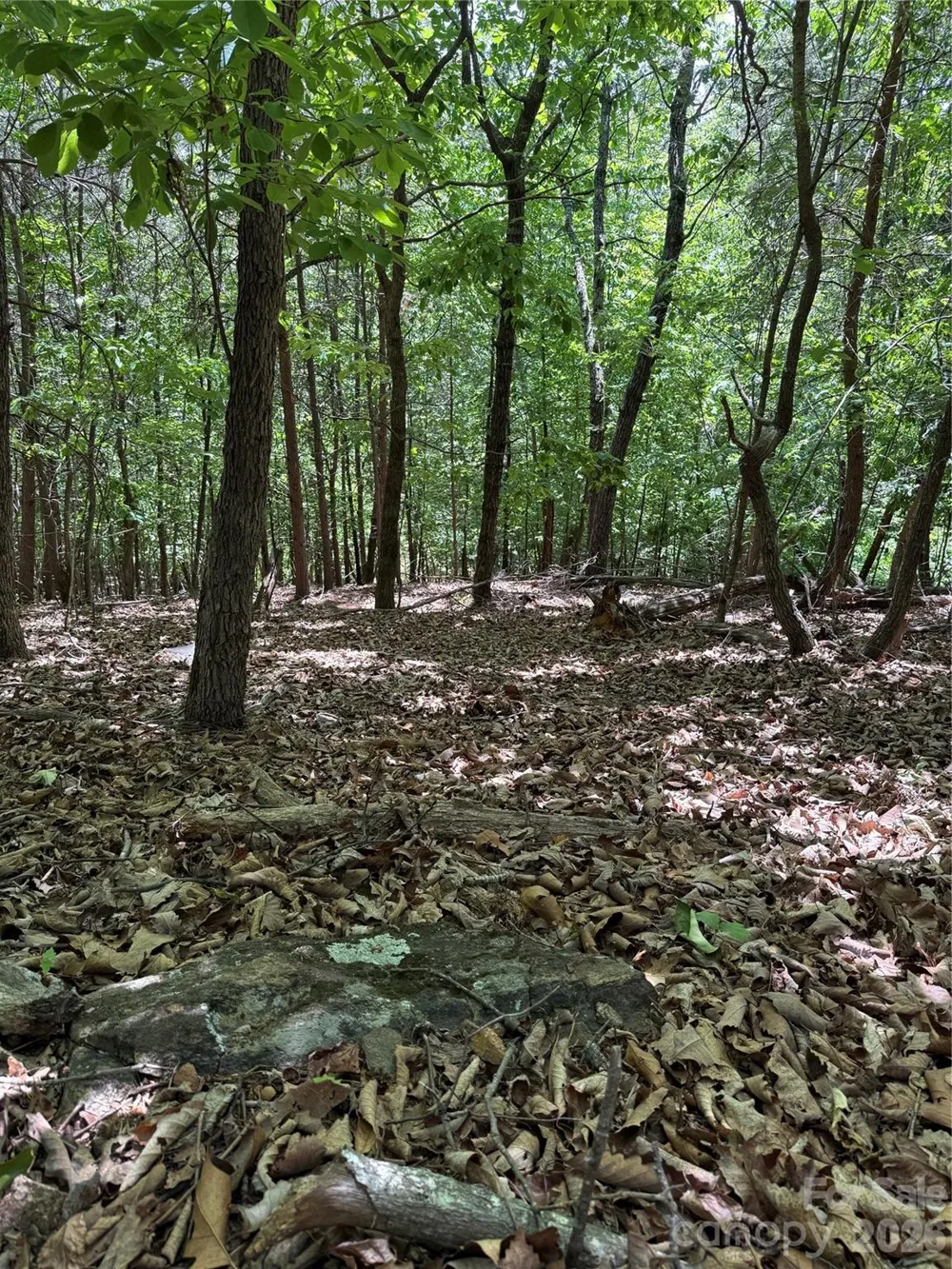 11 Summit Parkway #11 Bostic, NC 28018