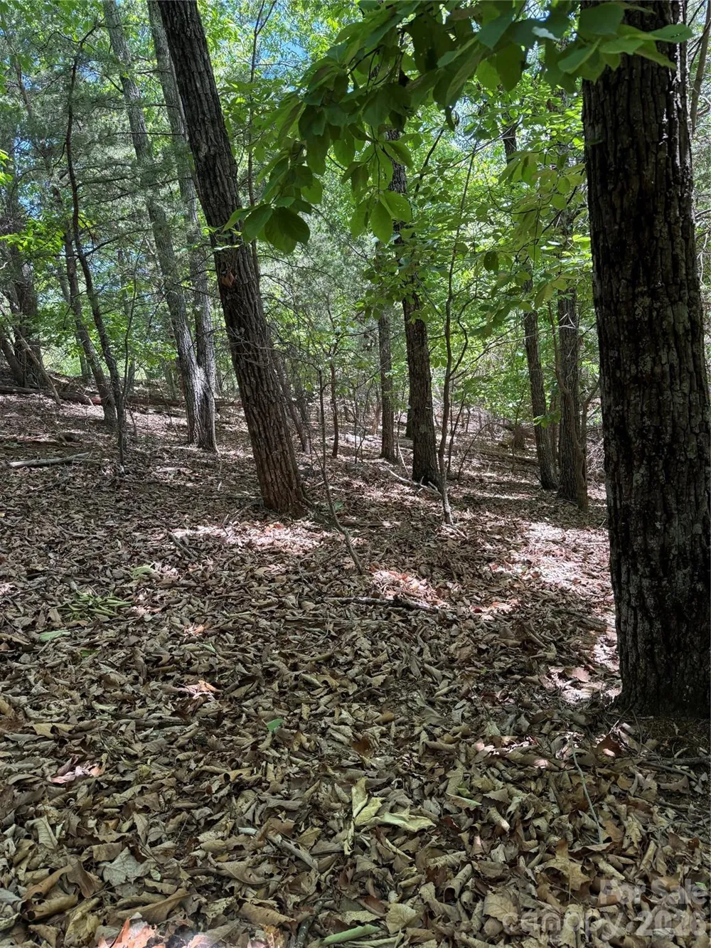 11 Summit Parkway #11 Bostic, NC 28018