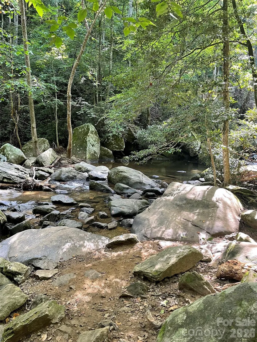 11 Summit Parkway #11 Bostic, NC 28018