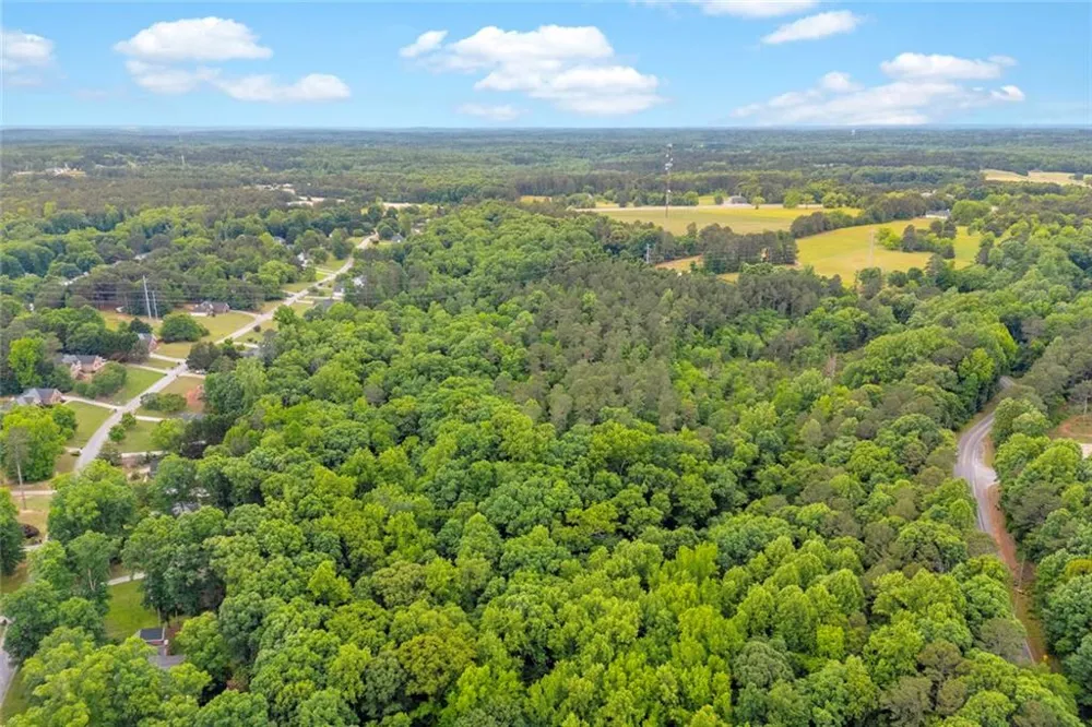 0 Cown Road Loganville, GA 30052