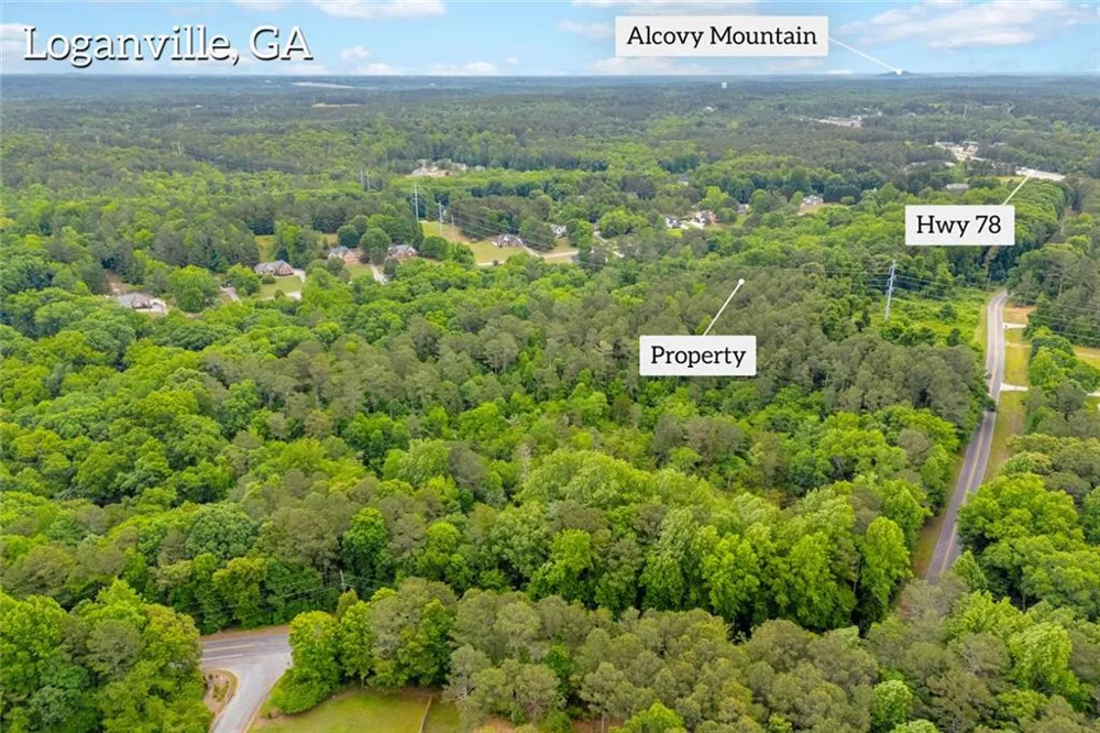 0 Cown Road Loganville, GA 30052