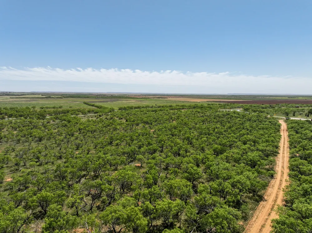 FM 3116 Hawley, TX 79525