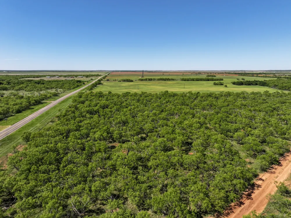 FM 3116 Hawley, TX 79525