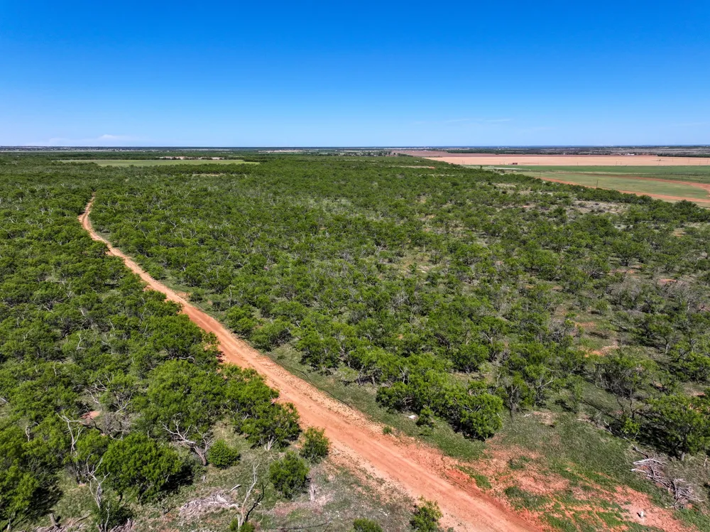 FM 3116 Hawley, TX 79525