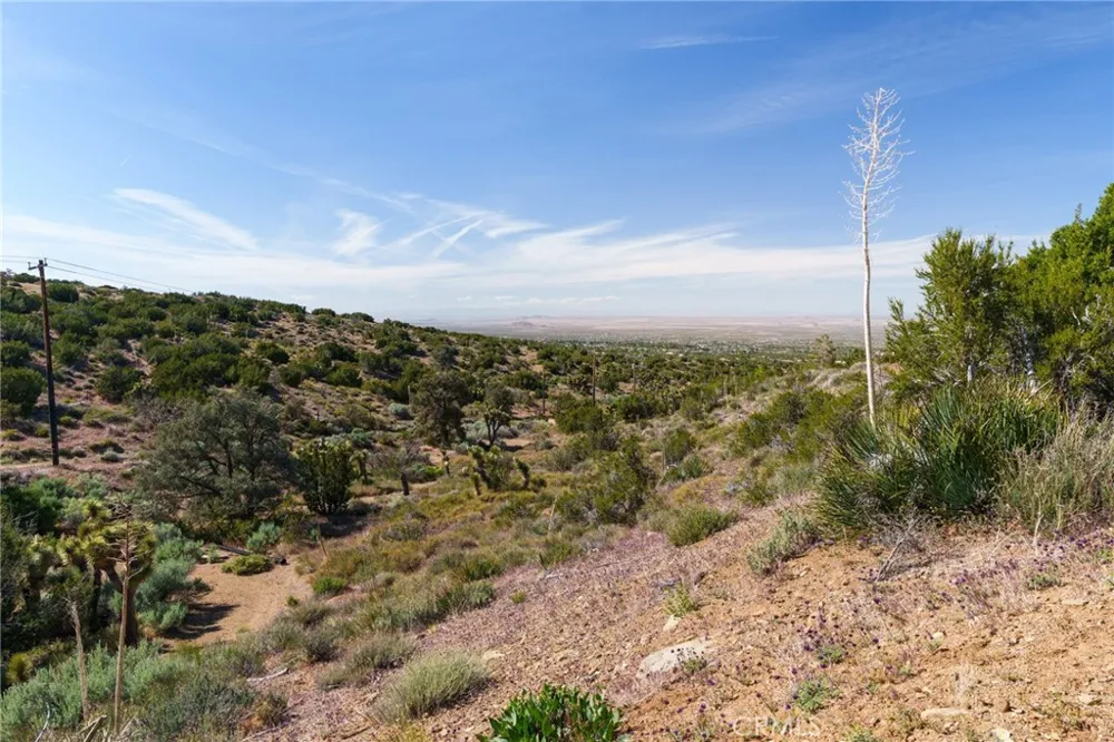 Silver Rock Pinon Hills, CA 92372