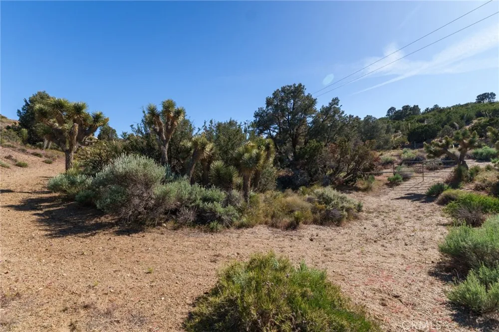 Silver Rock Pinon Hills, CA 92372