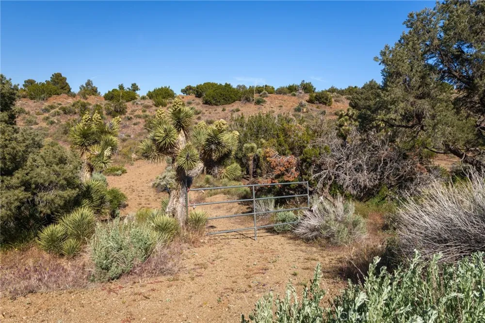 Silver Rock Pinon Hills, CA 92372