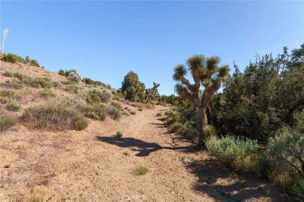 Silver Rock Pinon Hills, CA 92372