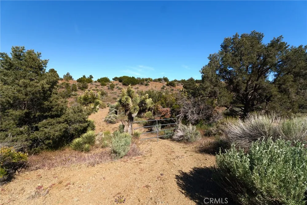 Silver Rock Pinon Hills, CA 92372