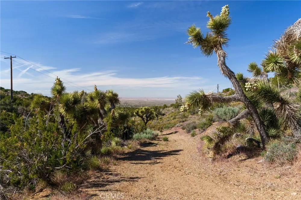 Silver Rock Pinon Hills, CA 92372