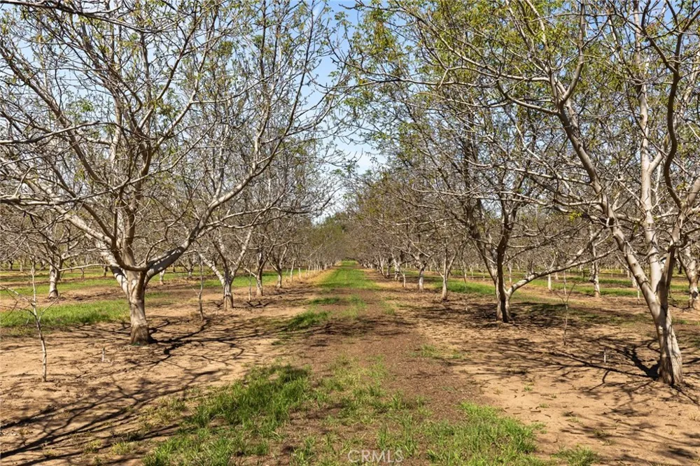 2192 Oak Chico, CA 95973