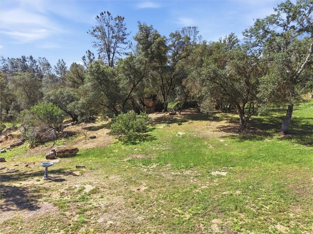 42704 Deep Forest Coarsegold, CA 93614