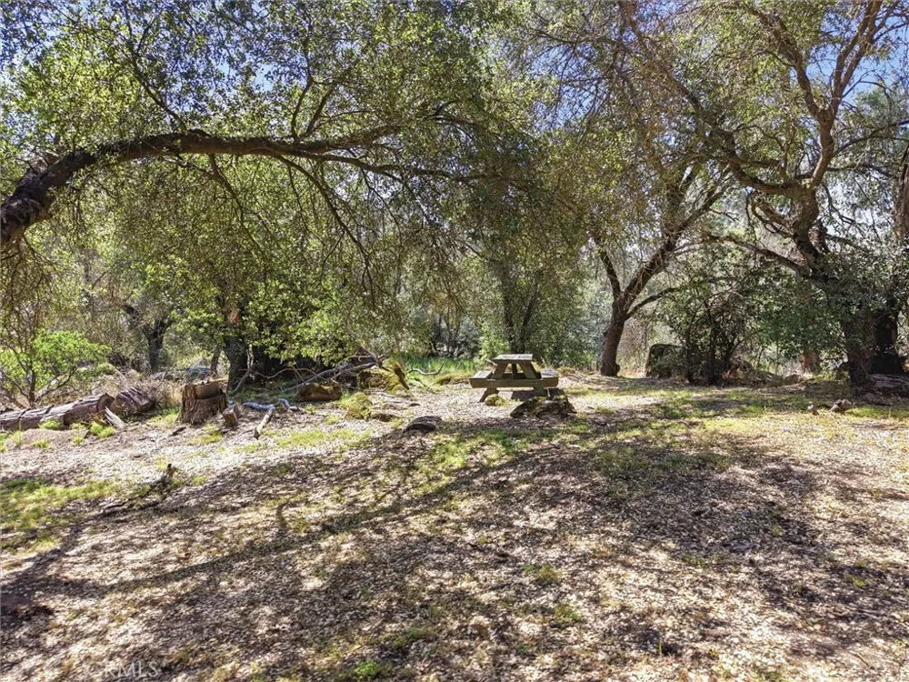 42704 Deep Forest Coarsegold, CA 93614