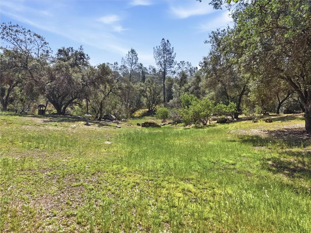 42704 Deep Forest Coarsegold, CA 93614