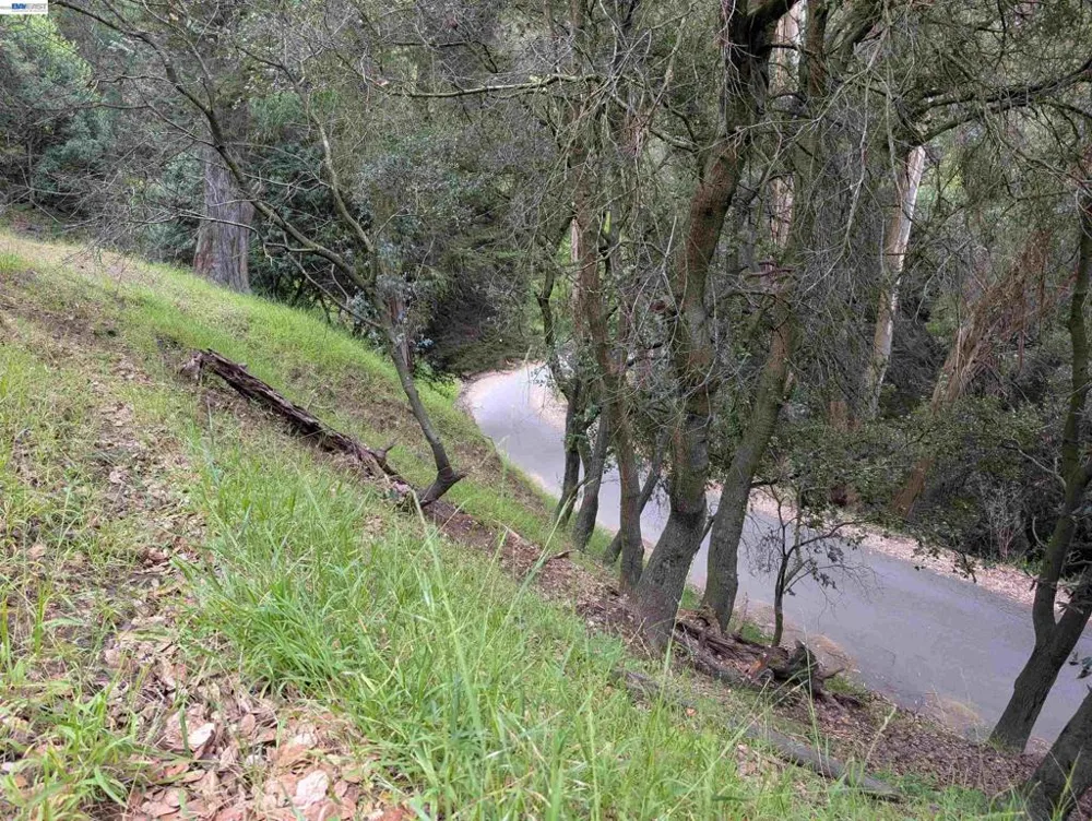 Girvin Dr Oakland, CA 94603