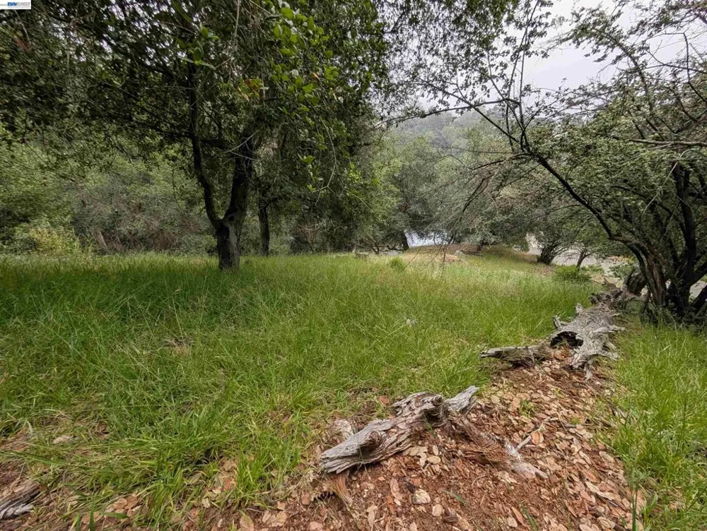 Girvin Dr Oakland, CA 94603