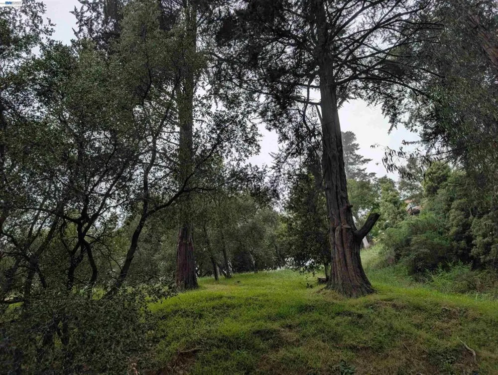 Girvin Dr Oakland, CA 94603