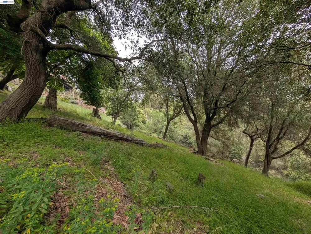 Girvin Dr Oakland, CA 94603