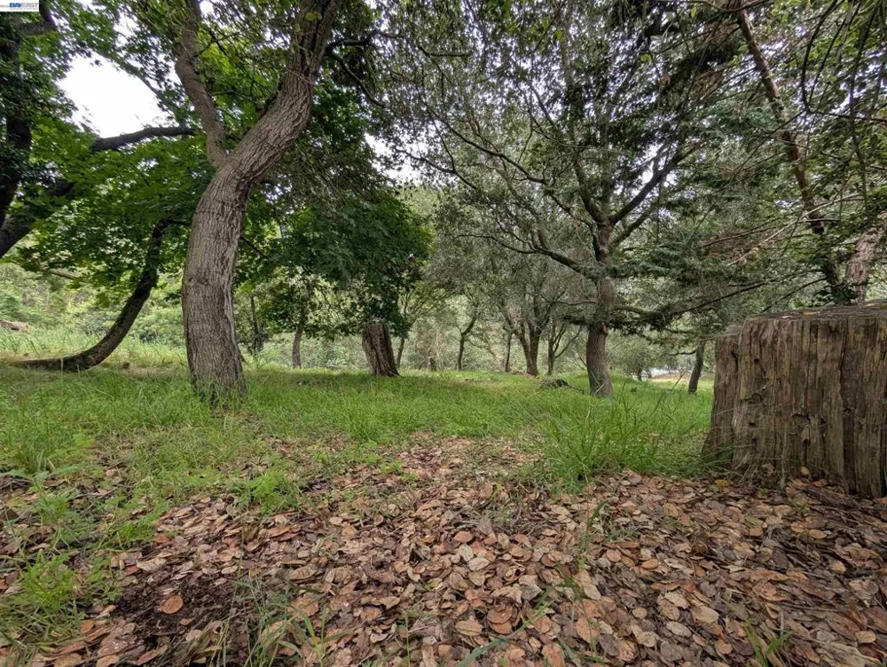 Girvin Dr Oakland, CA 94603