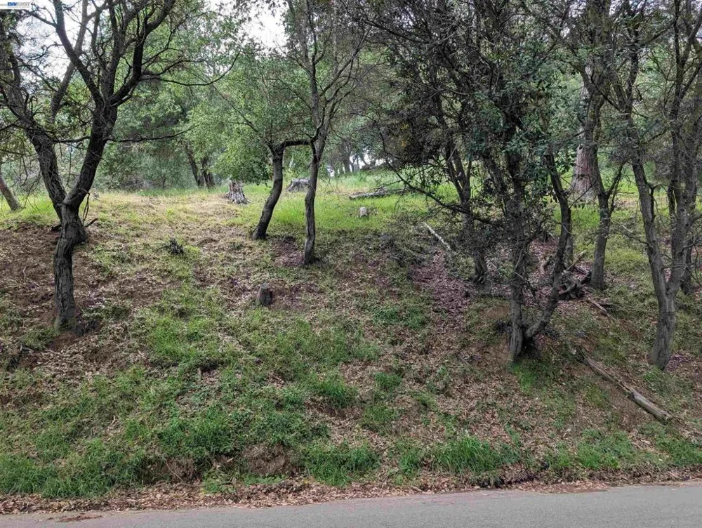 Girvin Dr Oakland, CA 94603
