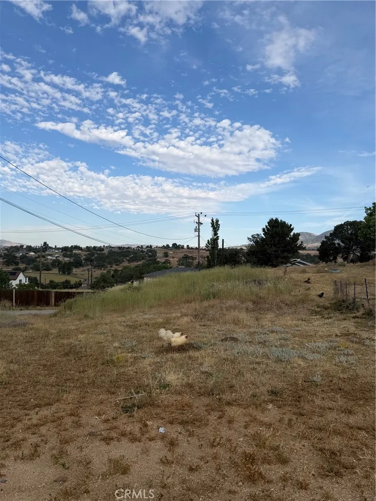 22117 Mccarthy Tehachapi, CA 93561