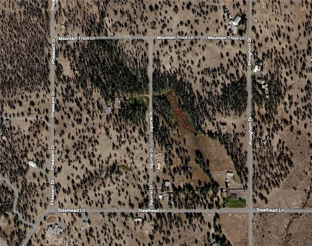 Pheasant Drive Alturas, CA 96101