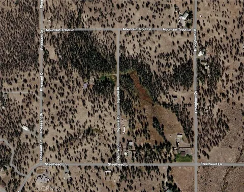 Pheasant Drive
