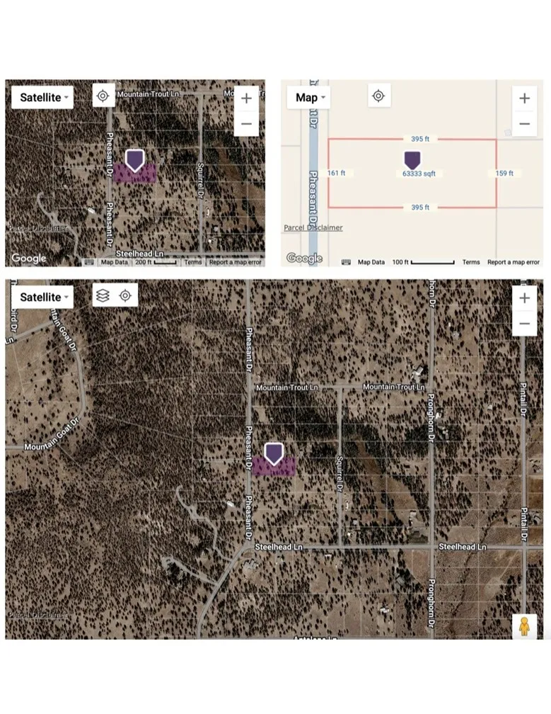 Pheasant Drive Alturas, CA 96101