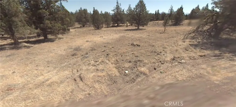 Pheasant Drive Alturas, CA 96101