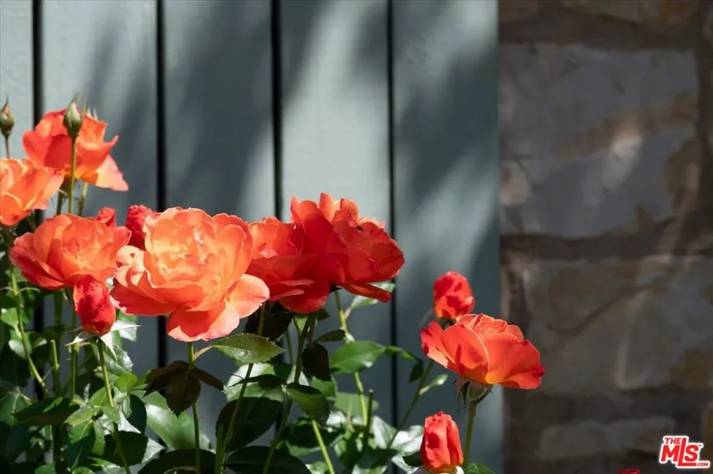 2553 Santa Barbara Avenue Los Olivos, CA 93441