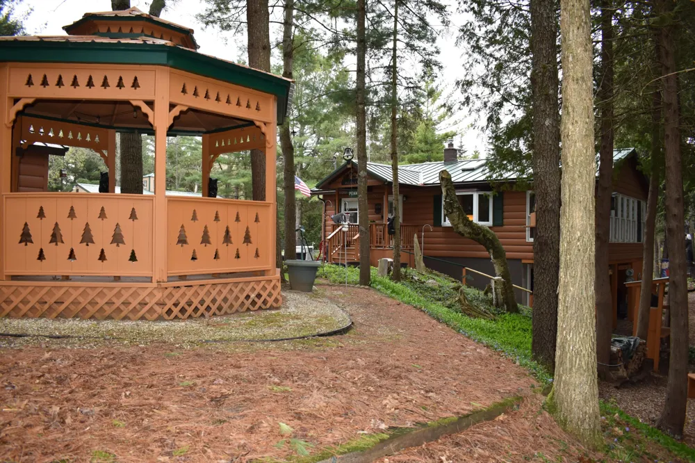 3559 E 56th Street Yates Township, MI 49623