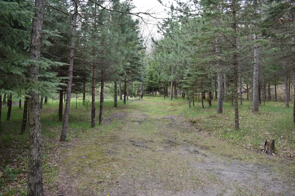 3559 E 56th Street Yates Township, MI 49623