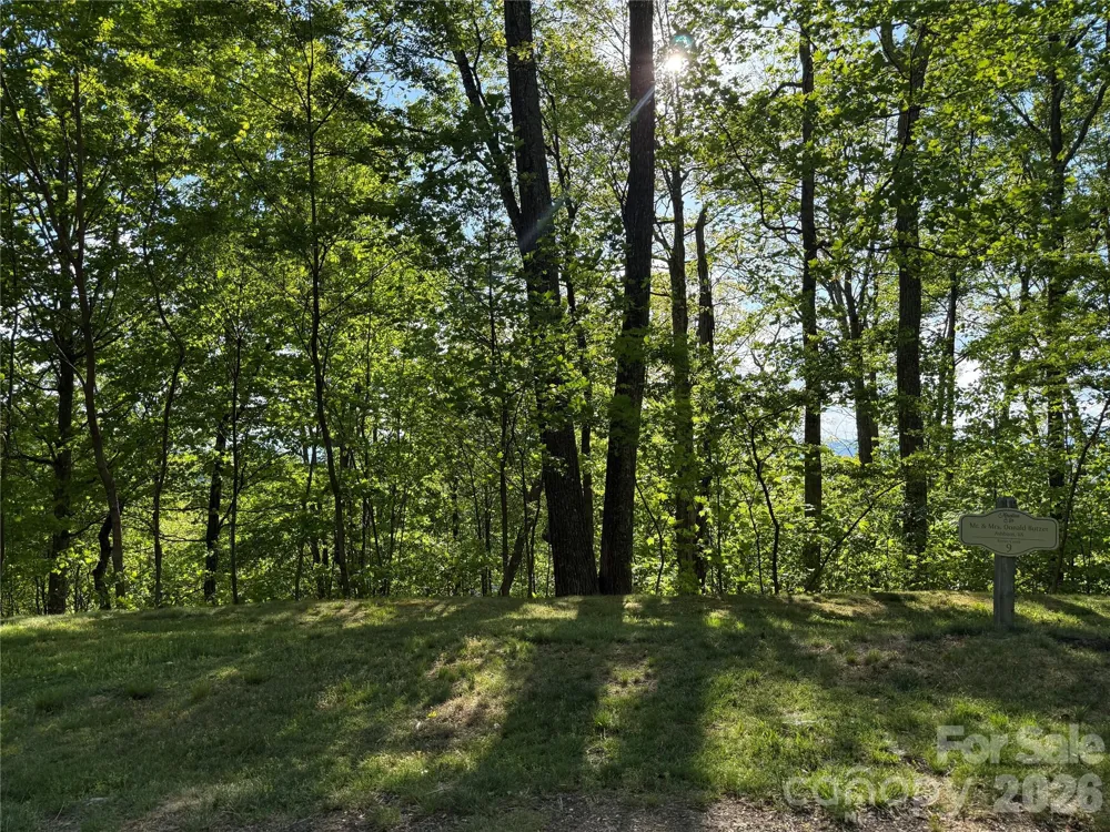 Lot 9 & 10 Andrew Banks Road Burnsville, NC 28714