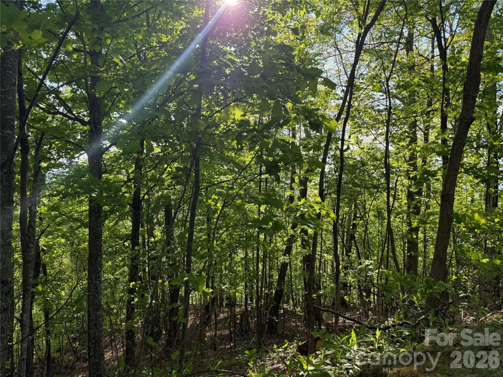 Lot 9 & 10 Andrew Banks Road Burnsville, NC 28714
