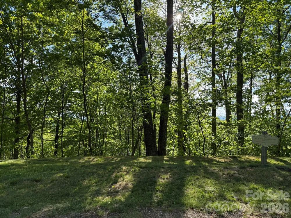 Lot 9 & 10 Andrew Banks Road Burnsville, NC 28714